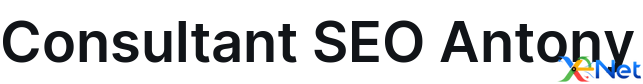 Consultant SEO Antony